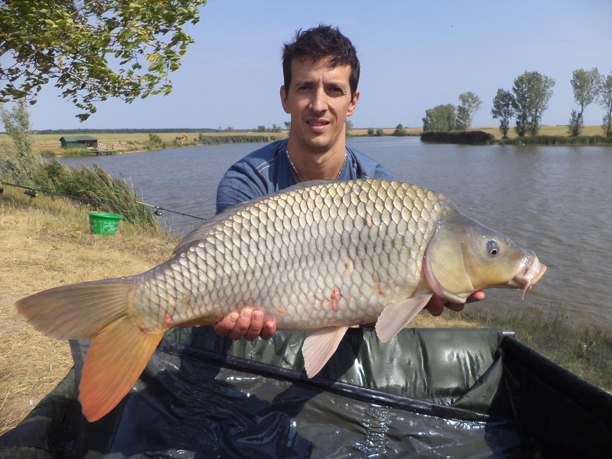 Teiu,25 august 2013 - dsc02305.JPG